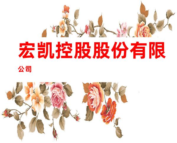 宏凯控股股份有限公司